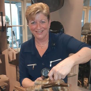 Anneke